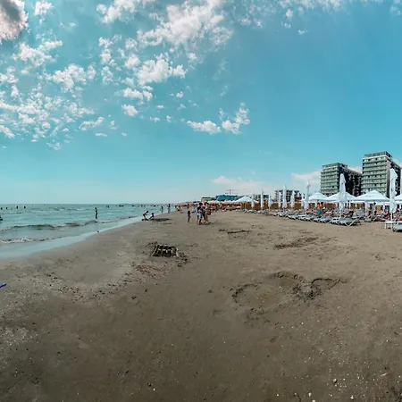 Black Sea - X
